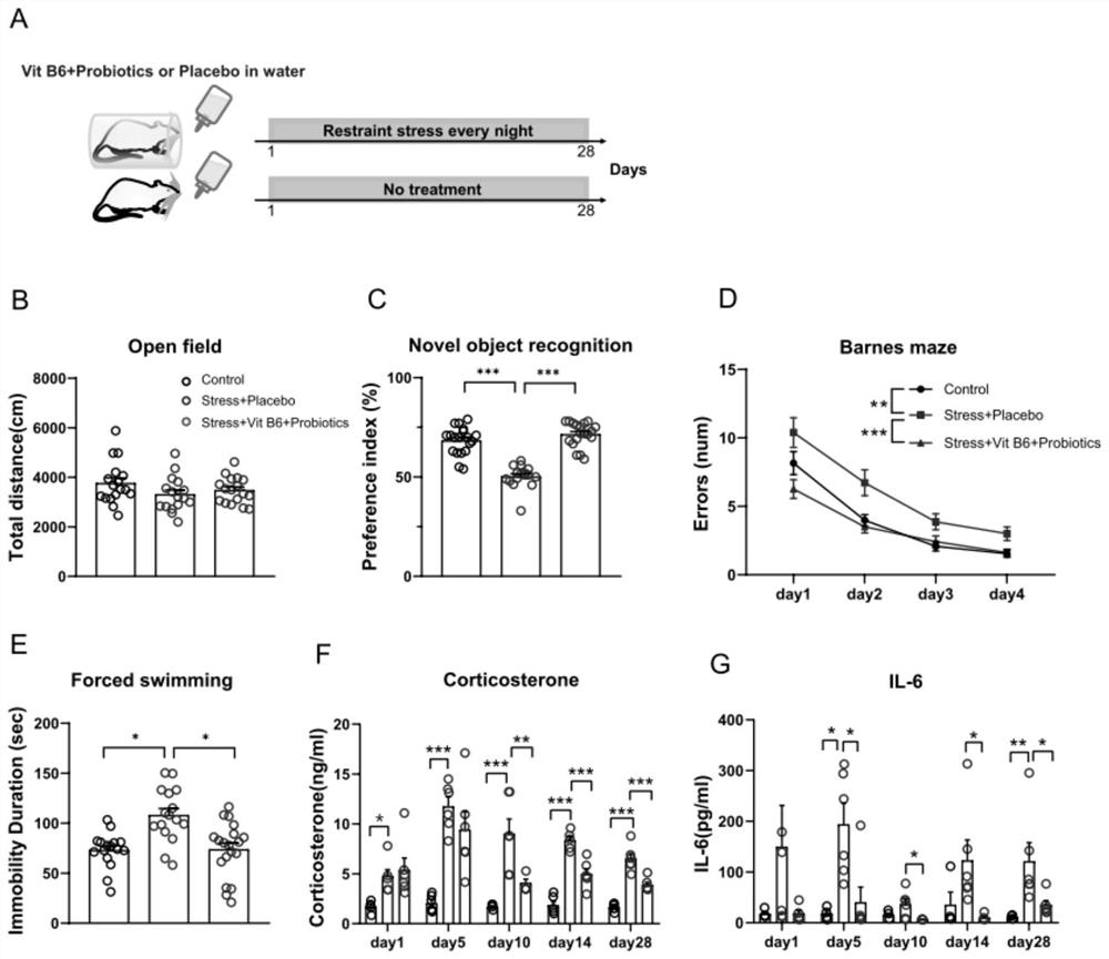 Vitamin B6 + probiotic mixture and application thereof in preparation of medicine for relieving stress-related secondary injury and aseptic inflammation