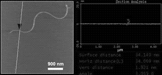 Preparation method and application of supramolecular nanoscale polymer for multi-functional imaging