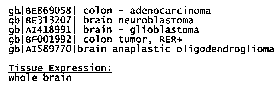 Isolated human transporter proteins, nucleic acid molecules encoding human transporter proteins, and uses thereof