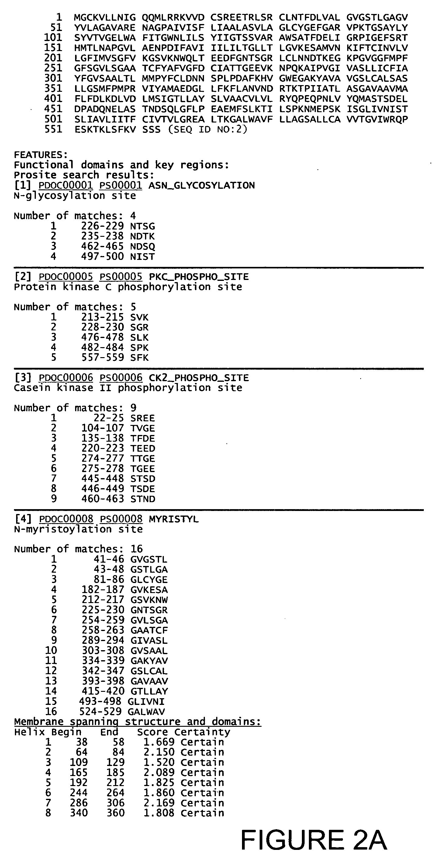 Isolated human transporter proteins, nucleic acid molecules encoding human transporter proteins, and uses thereof