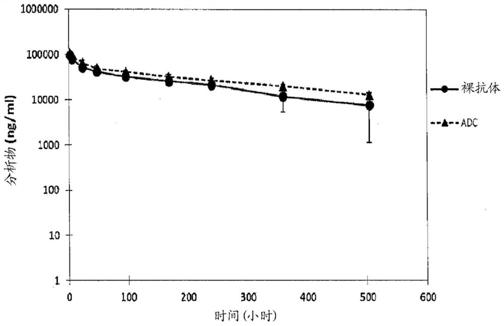 Humanized Anti-prostate-specific membrane antigen (PSMA) antibody drug conjugates