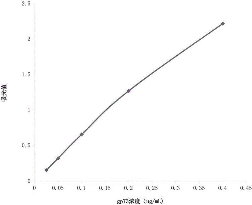 Latex-enhanced immunoturbidimetry detection kit of Golgi protein gp73 and preparation method thereof