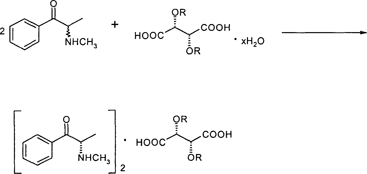 Preparation of [(S)-(-)-alpha-methylamino phenylketone]2.(2R,3R)-tartaric acid derivative