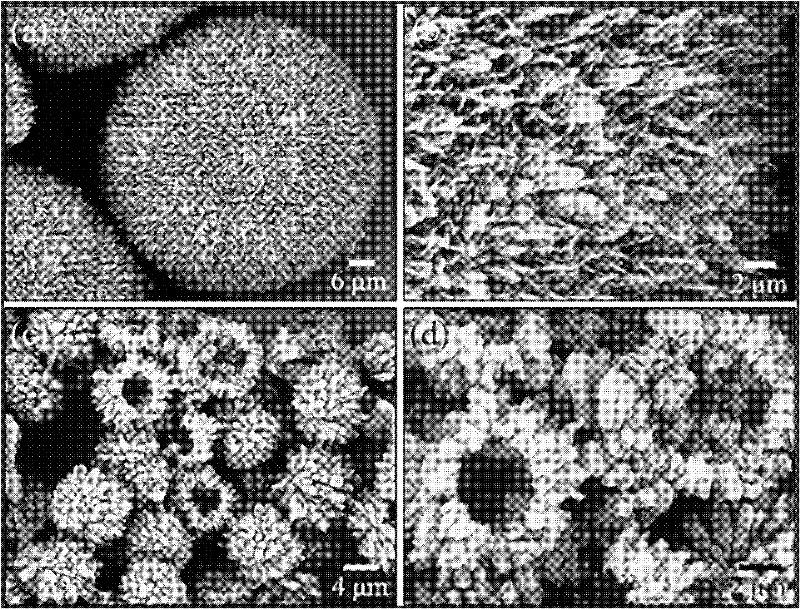 Preparation method of amino-containing energetic material graded microspheres