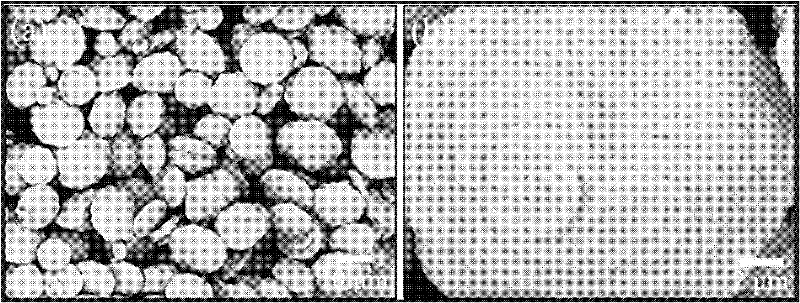 Preparation method of amino-containing energetic material graded microspheres