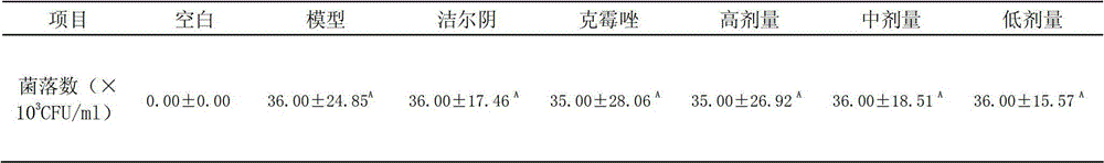 Application of patchouli oil in preparation of medicines used for treating colpitis