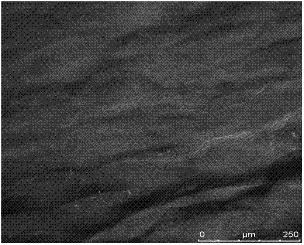 Bacterial cellulose/collagen-chitosan composite material and preparation method thereof