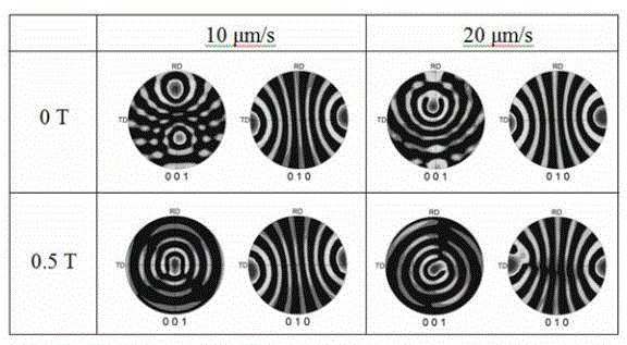 Method and device for controlling crystal orientation in steady-state magnetic field through directional solidification