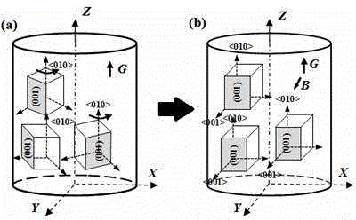 Method and device for controlling crystal orientation in steady-state magnetic field through directional solidification