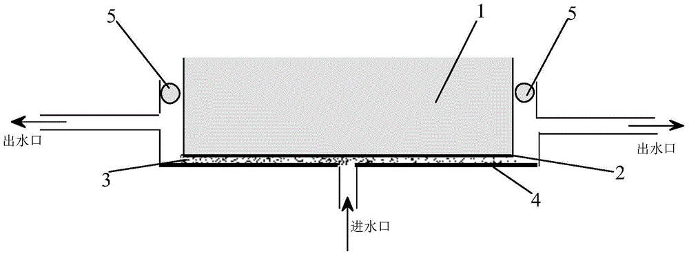 Ultrasonic cavitation device