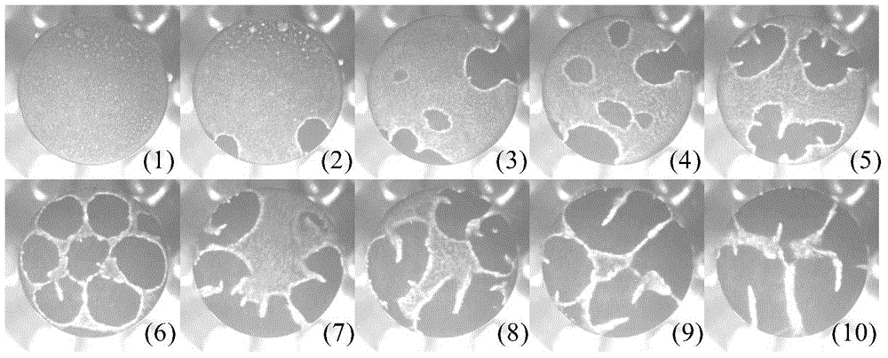 Ultrasonic cavitation device