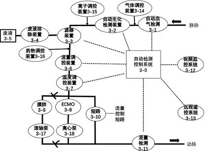 Human organ blood oxygenation system