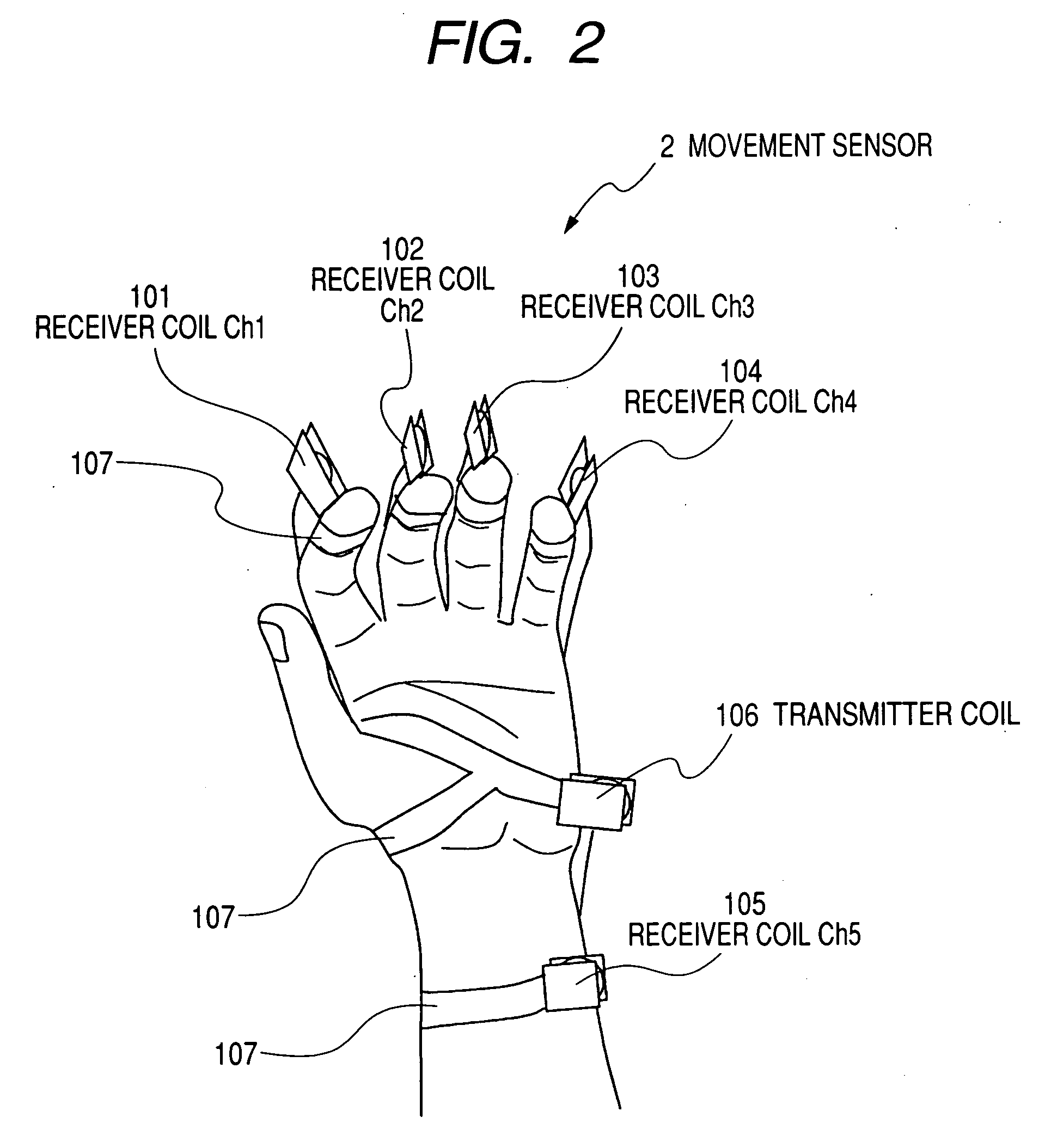 Living body inspection apparatus