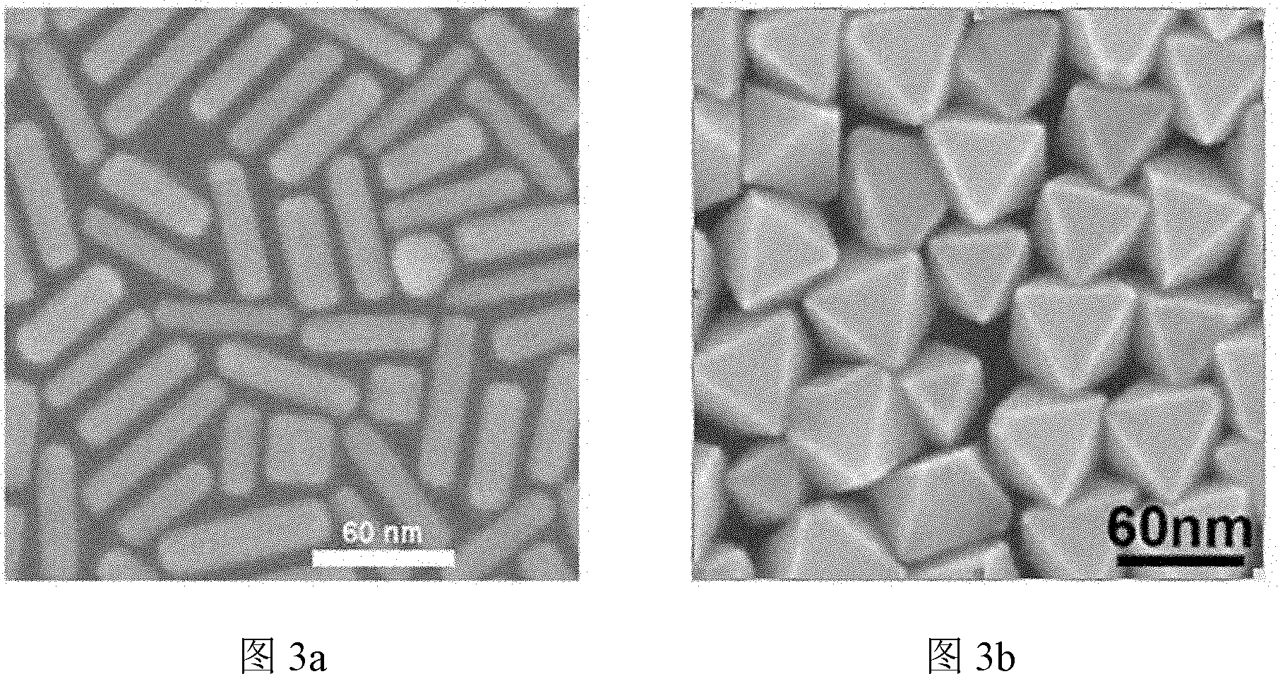 Method for preparing scanning electron microscope samples from biological samples