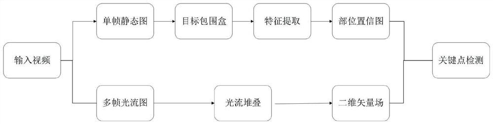 A human body key point detection system and method based on complex scenes