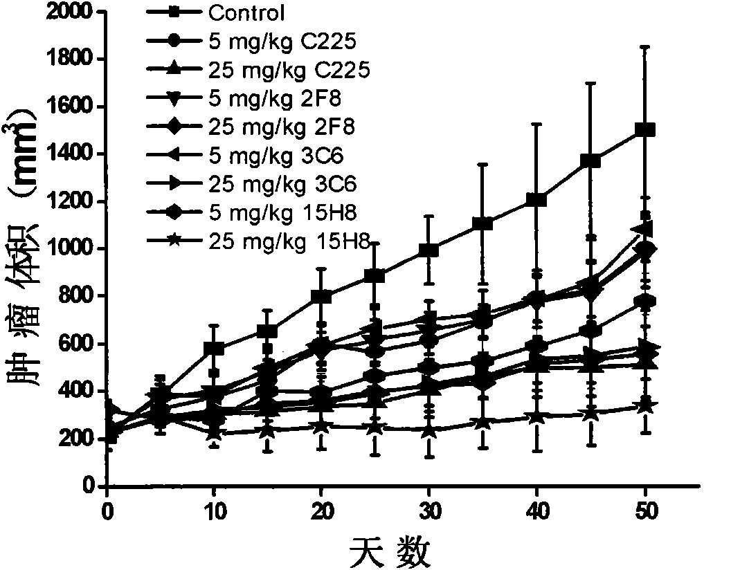 Human monoclonal antibody against EGFR, preparation method and purpose thereof