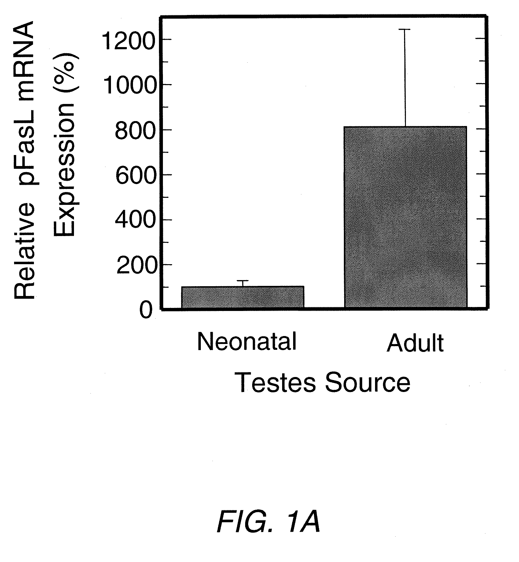 Adult sertoli cells and uses thereof