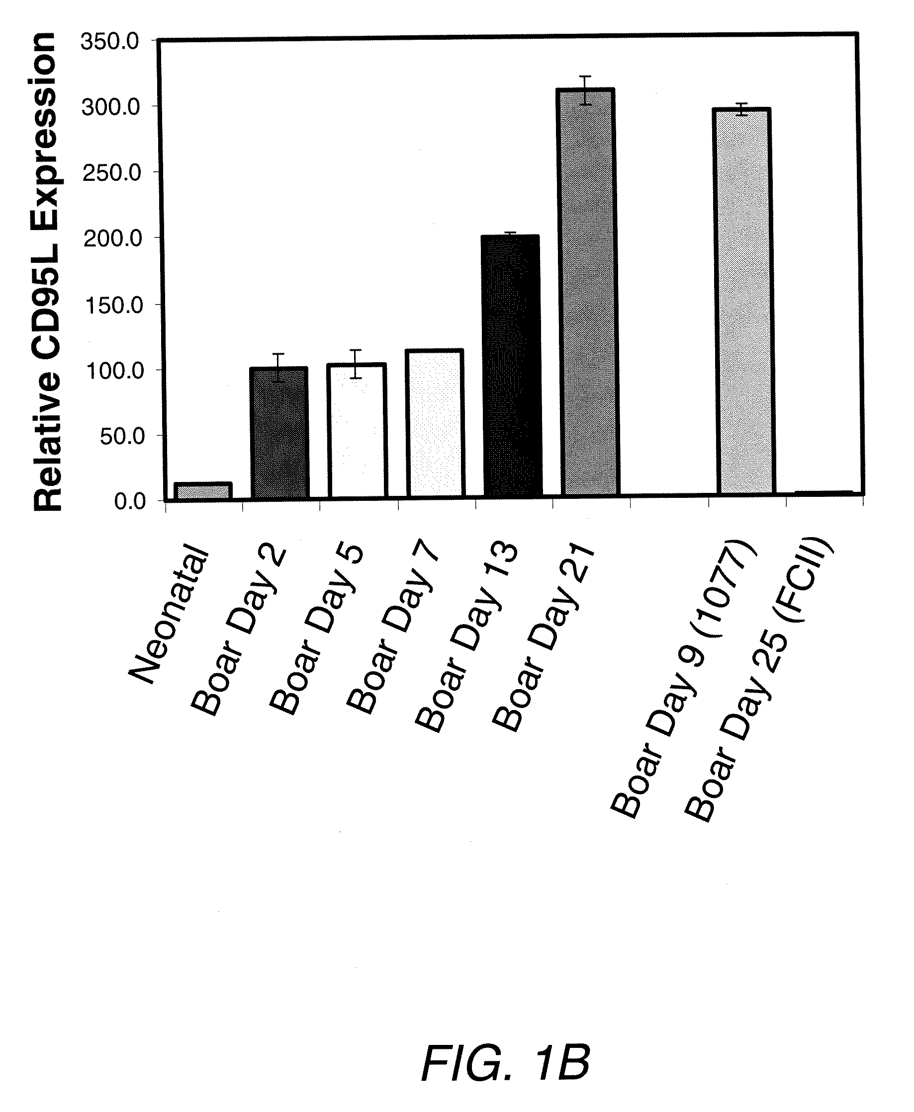 Adult sertoli cells and uses thereof