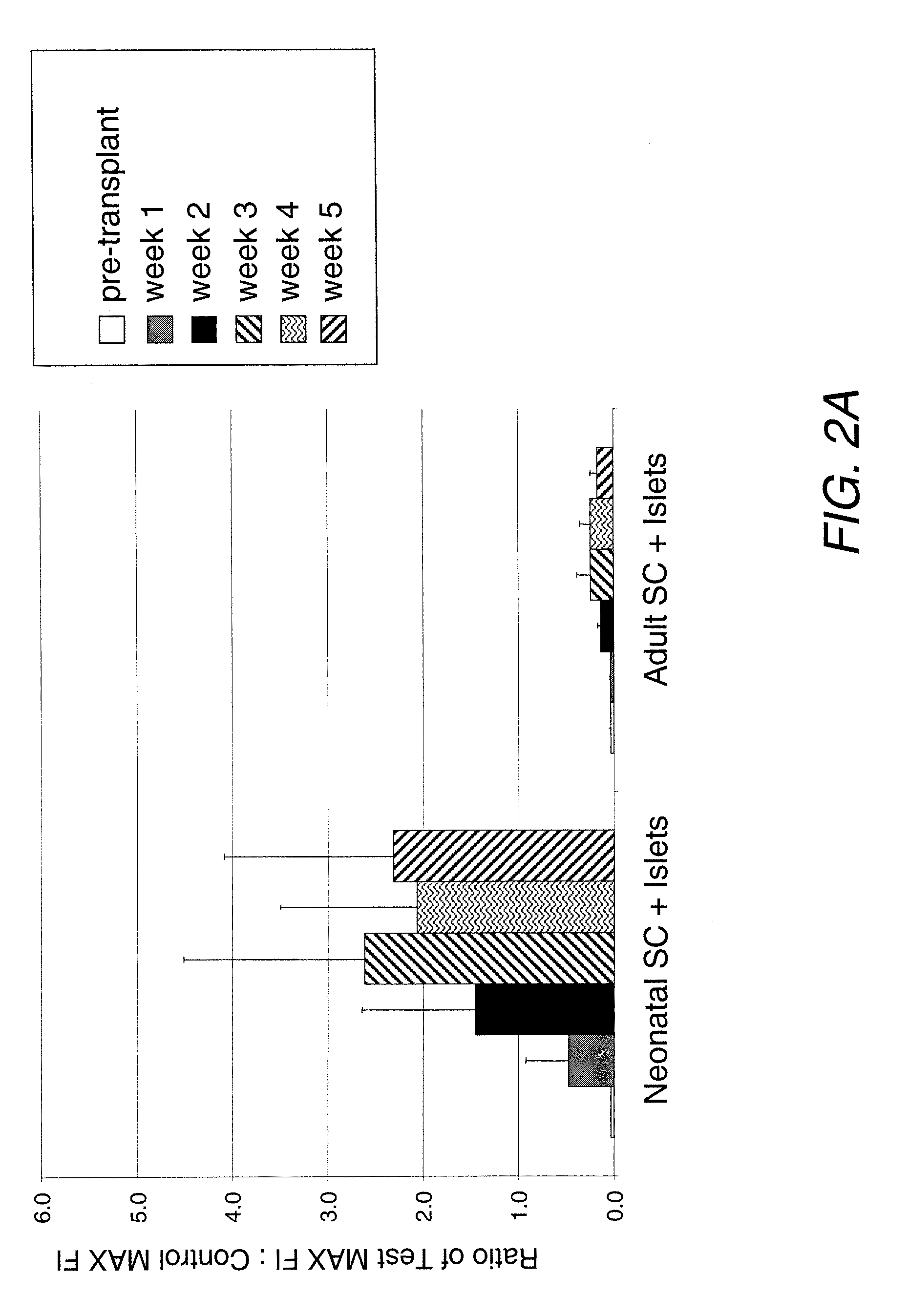 Adult sertoli cells and uses thereof