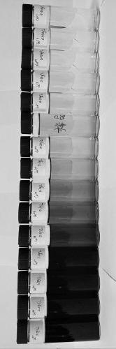 A cyanide-free silver plating solution capable of dynamically monitoring copper ion pollution content, a simple and rapid detection method and a quantitative detection method