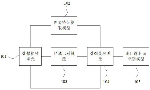 Helicobacter pylori auxiliary detection system and detection device