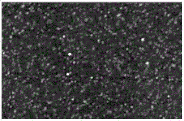 Novel Low-Voltage High-Performance Non-volatile Memory Based on Discrete Nanographene Floating Gate