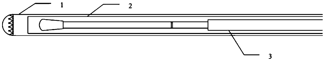 Protective sampling swab for large animals