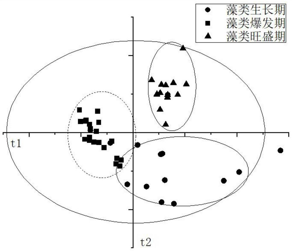 Algae outbreak early warning method and system based on three-dimensional fluorescence detection