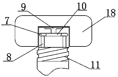 Device for rat leg femoral nerve stimulation