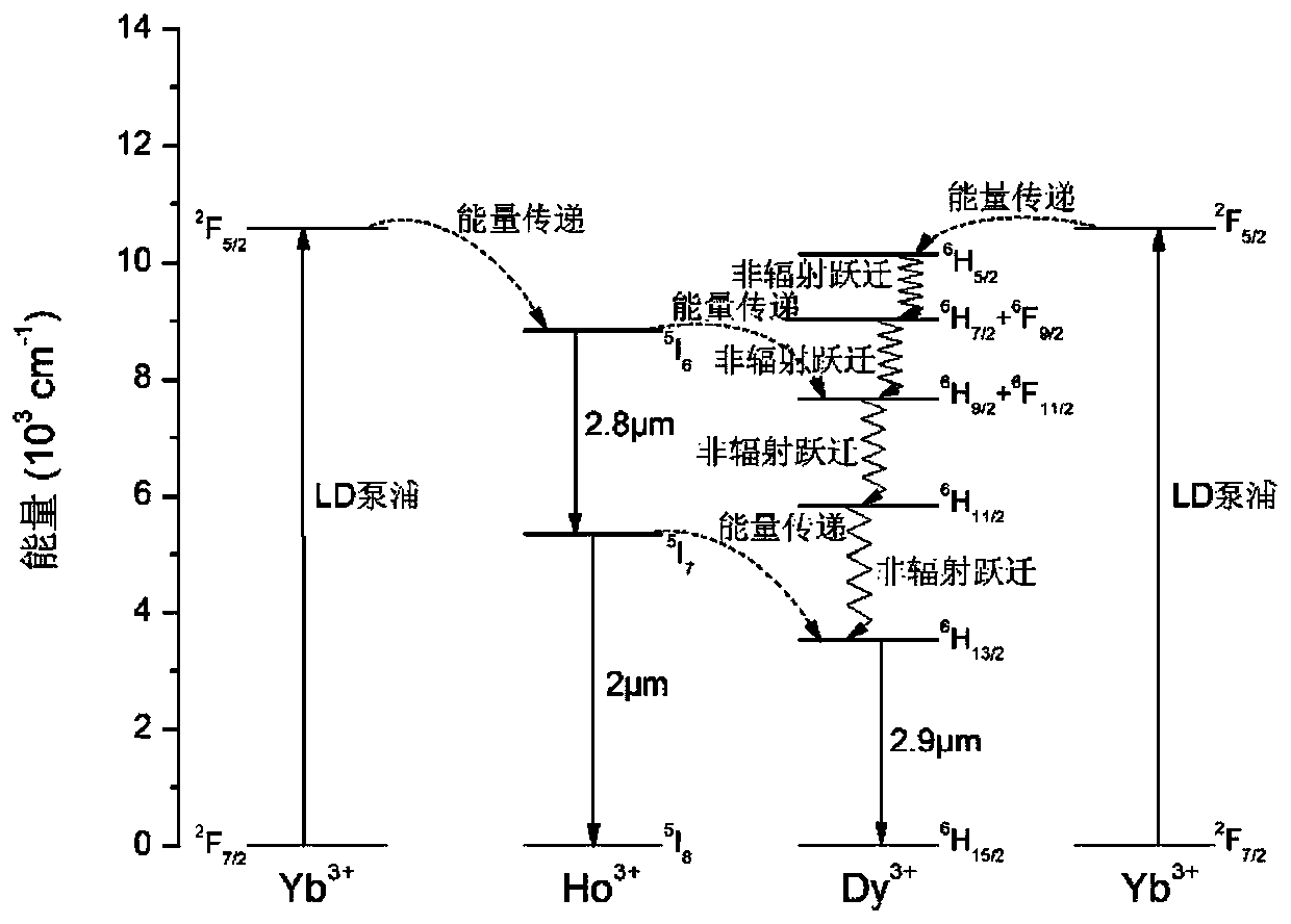 A kind of ytterbium holmium dysprosium three-doped lead fluoride mid-infrared laser crystal and preparation method thereof