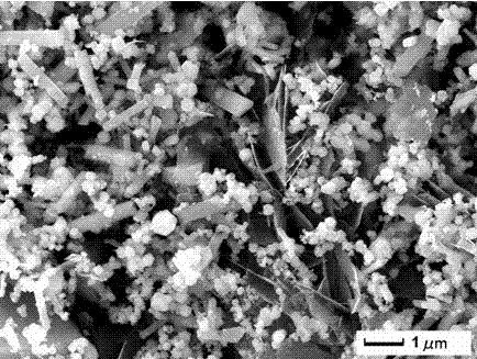 Micronano-structured and graphene based composite visible light catalytic material and preparing method thereof