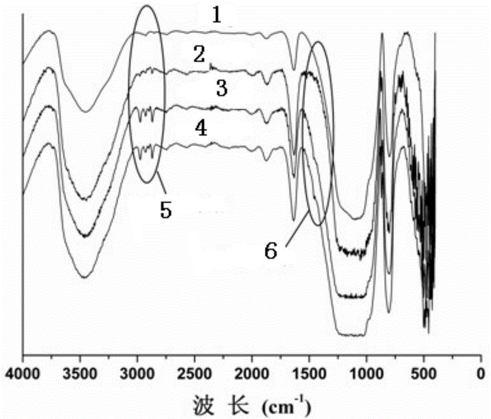 Preparation method of oxidized-graphene-modified silica gel chromatography filling material