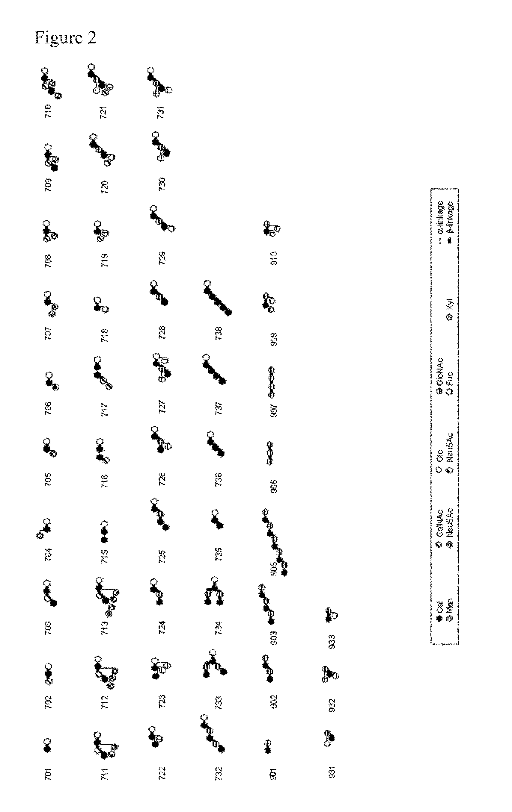 L-fucose α1→6 specific lectin