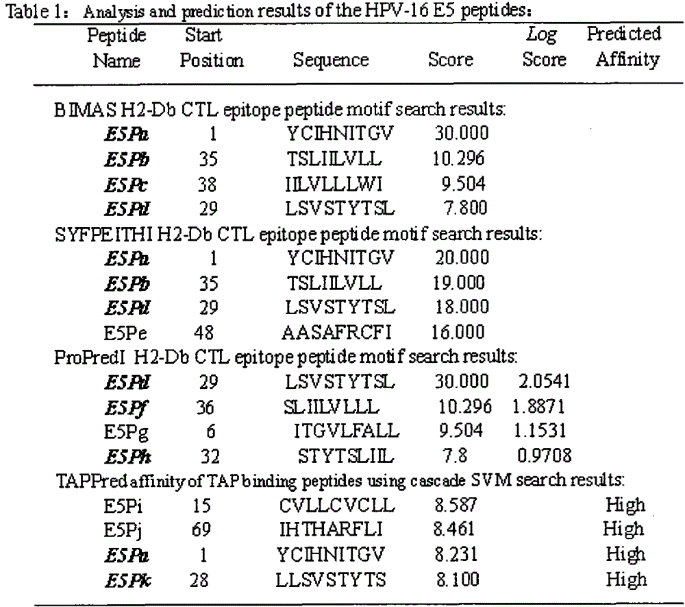 Screening and validation of human papillomavirus type 16 tripeptide vaccine and construction of tumor animal models that continuously express hpv16 E5, E6, E7