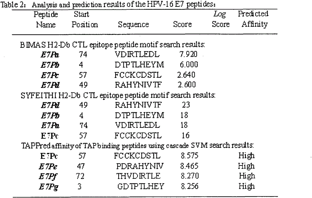 Screening and validation of human papillomavirus type 16 tripeptide vaccine and construction of tumor animal models that continuously express hpv16 E5, E6, E7