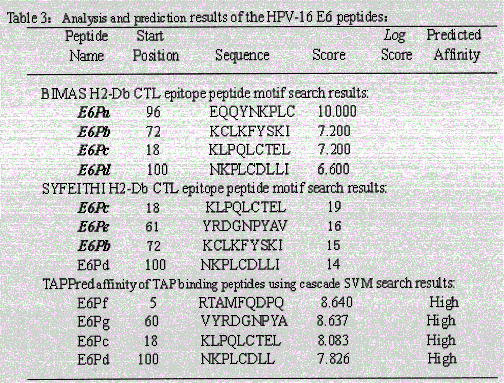 Screening and validation of human papillomavirus type 16 tripeptide vaccine and construction of tumor animal models that continuously express hpv16 E5, E6, E7