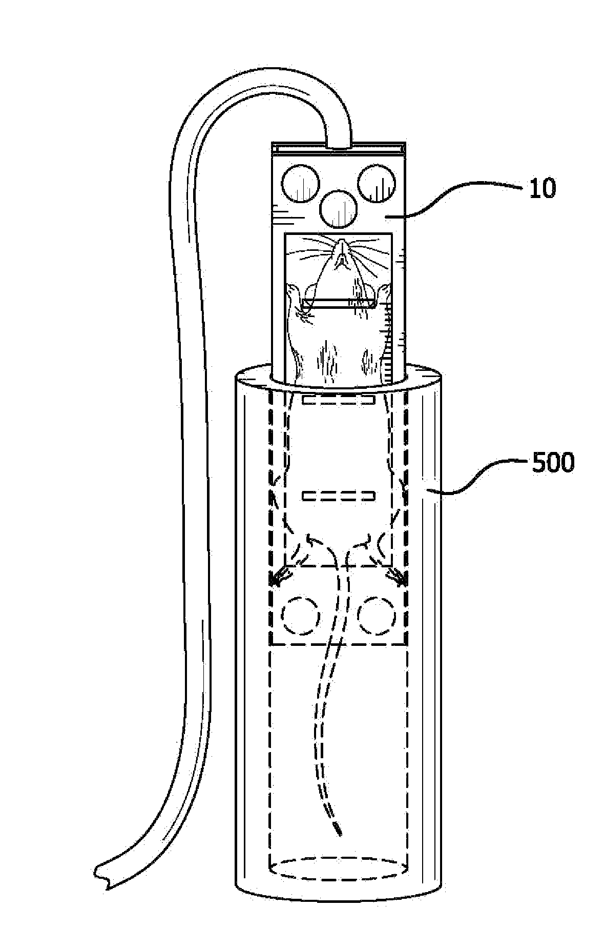 Systems for fusion of fluorescence molecular tomography and magnetic resonance images