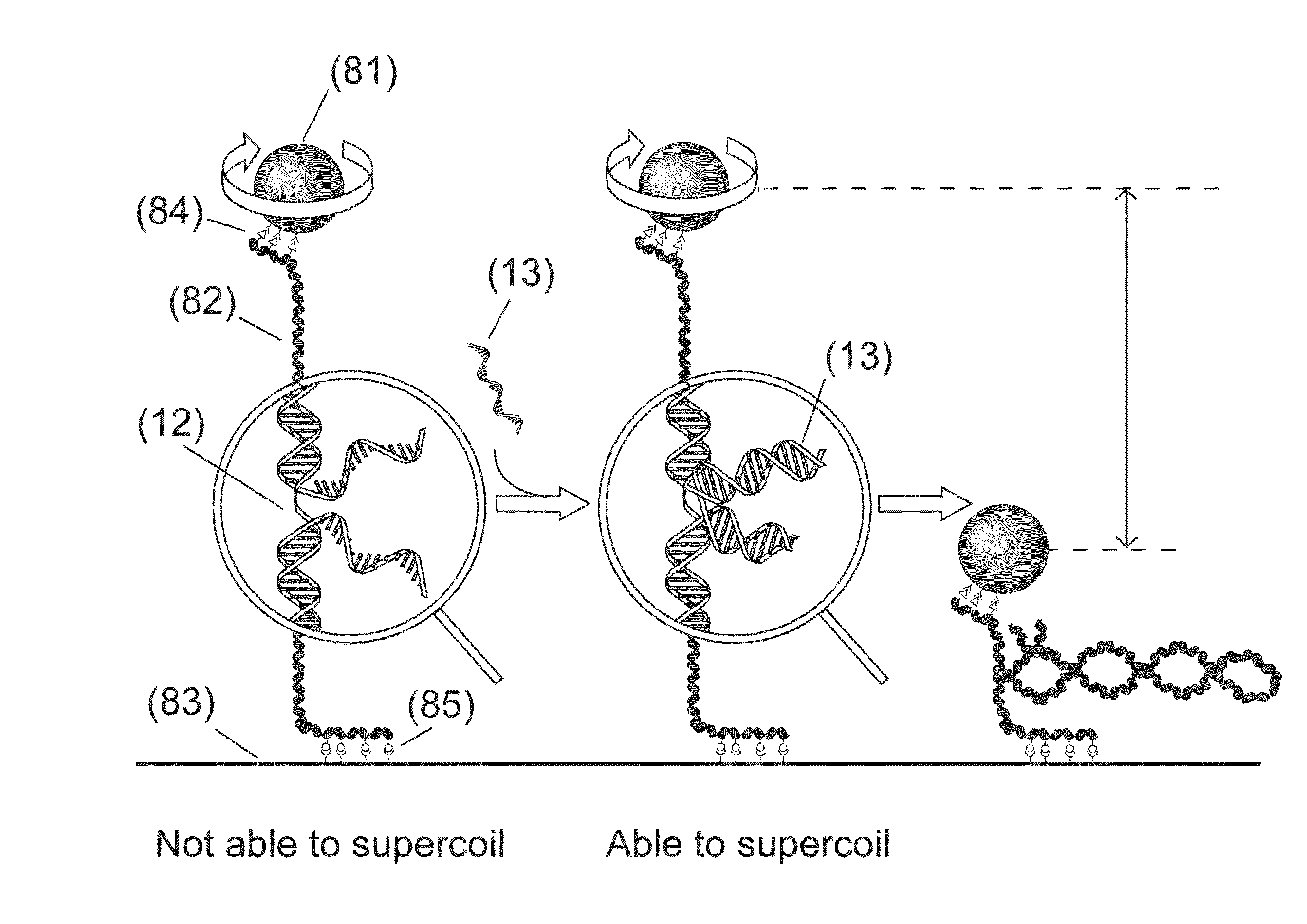 Detection units and methods for detecting a target analyte