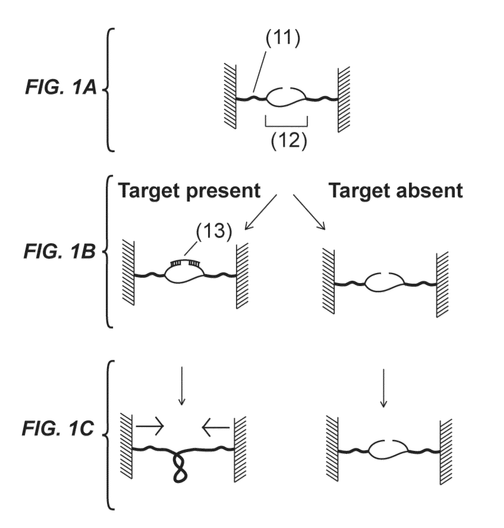 Detection units and methods for detecting a target analyte