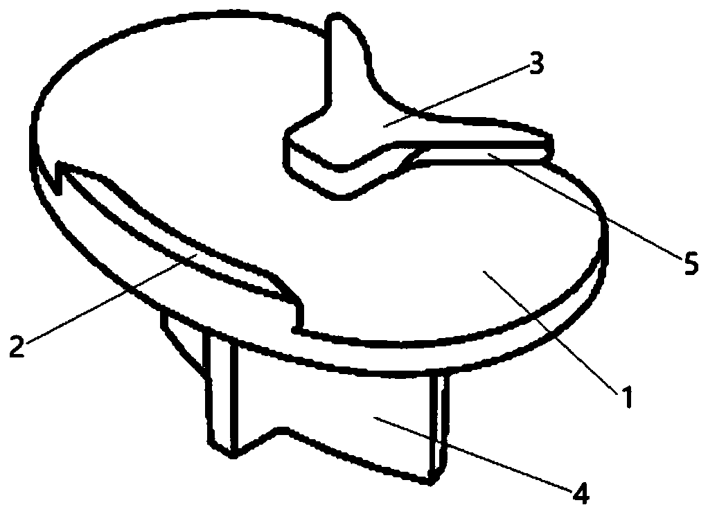 Biological-type knee joint partition bone trabecula tibial plateau