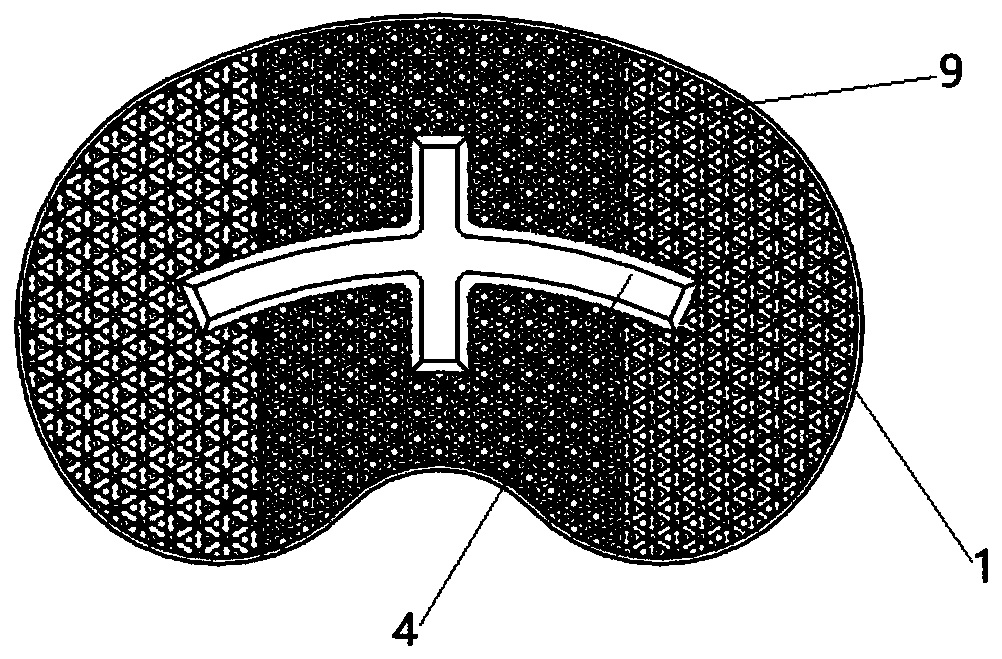 Biological-type knee joint partition bone trabecula tibial plateau