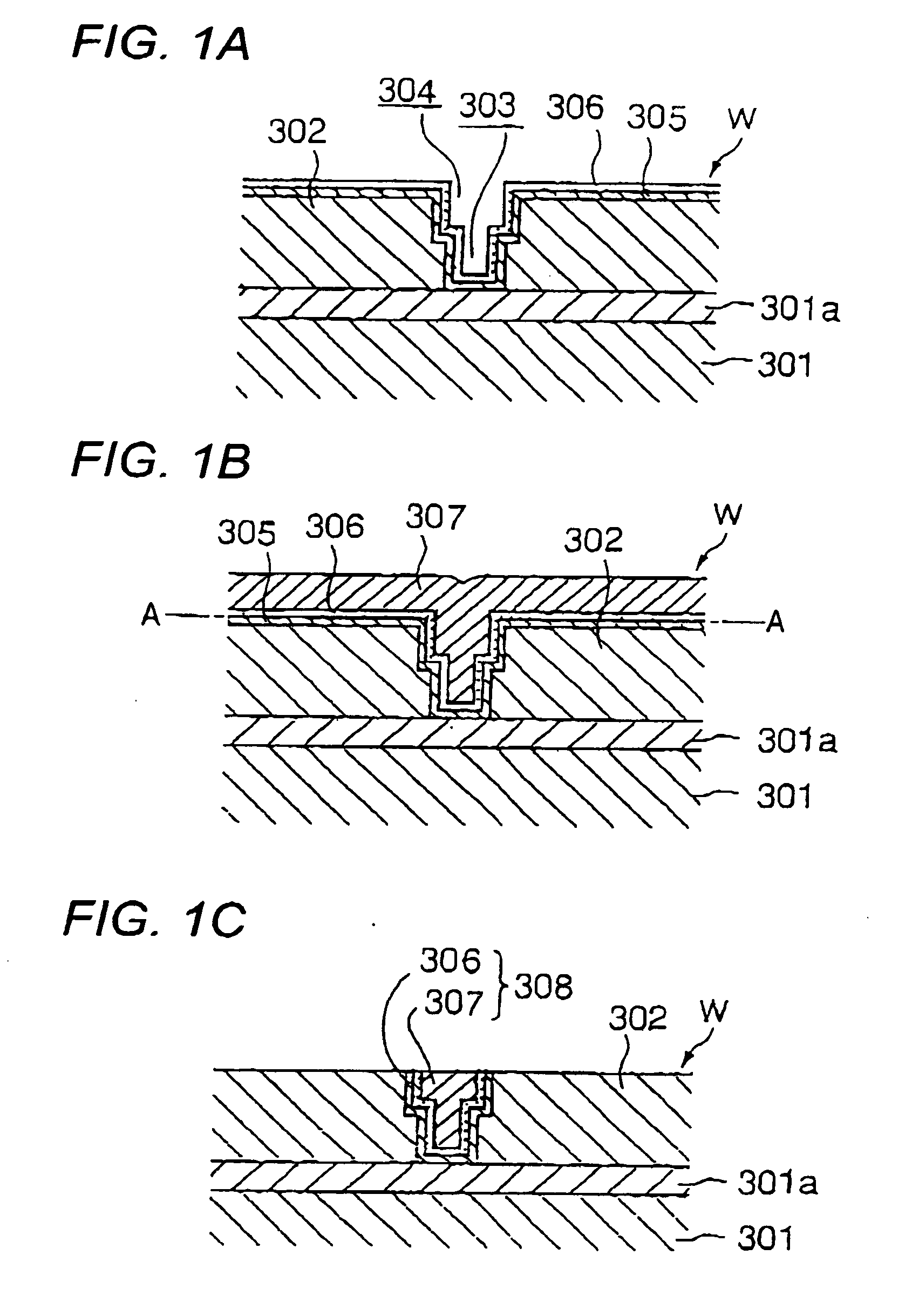 Polishing pad and polishing apparatus