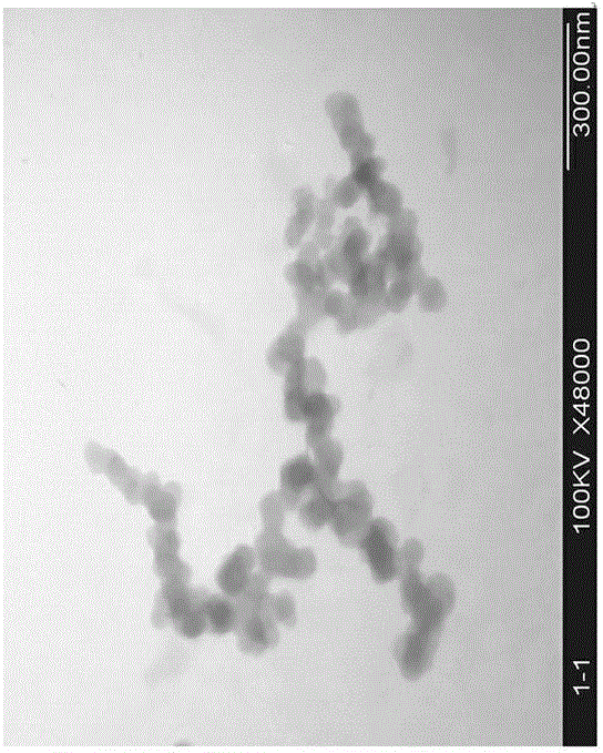 A kind of magnetic nanomaterial with surface modified mercapto group and its preparation method and application