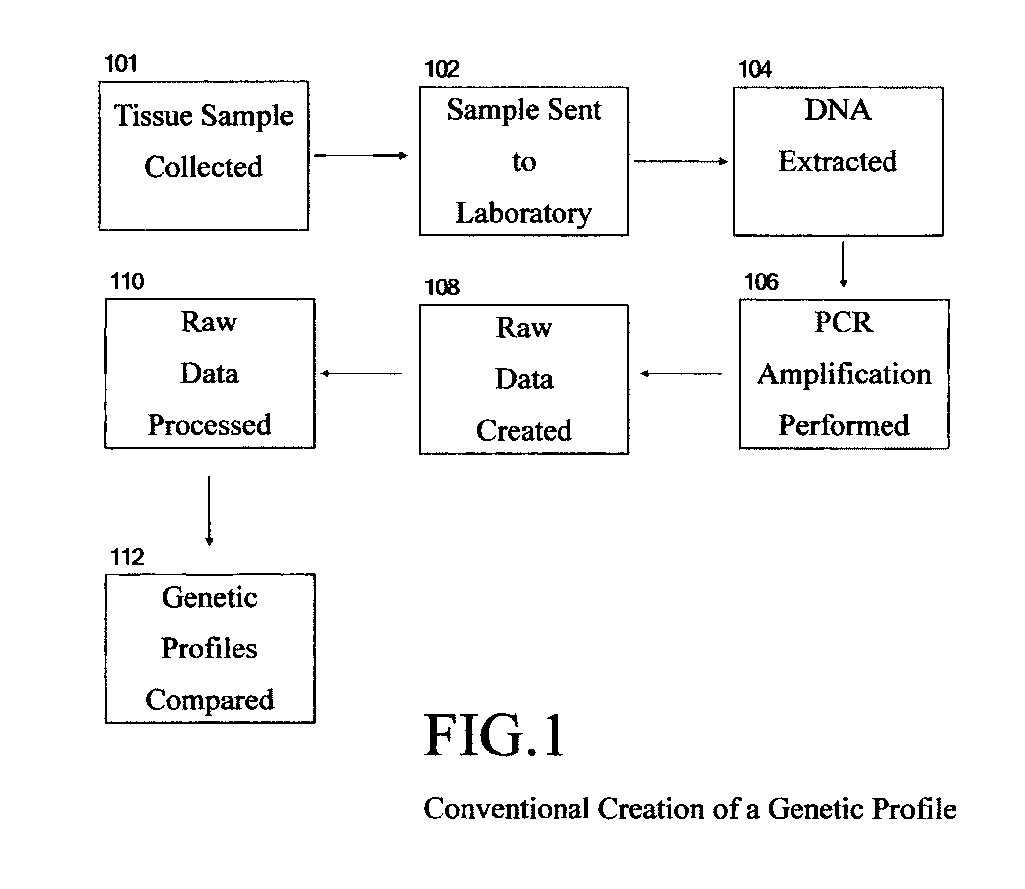 Computerized analysis of genetic profiles via internet portals