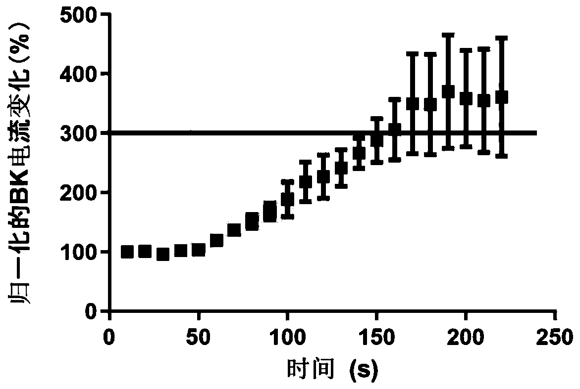 Fusion protein for light control of BK channel and preparation method and application thereof