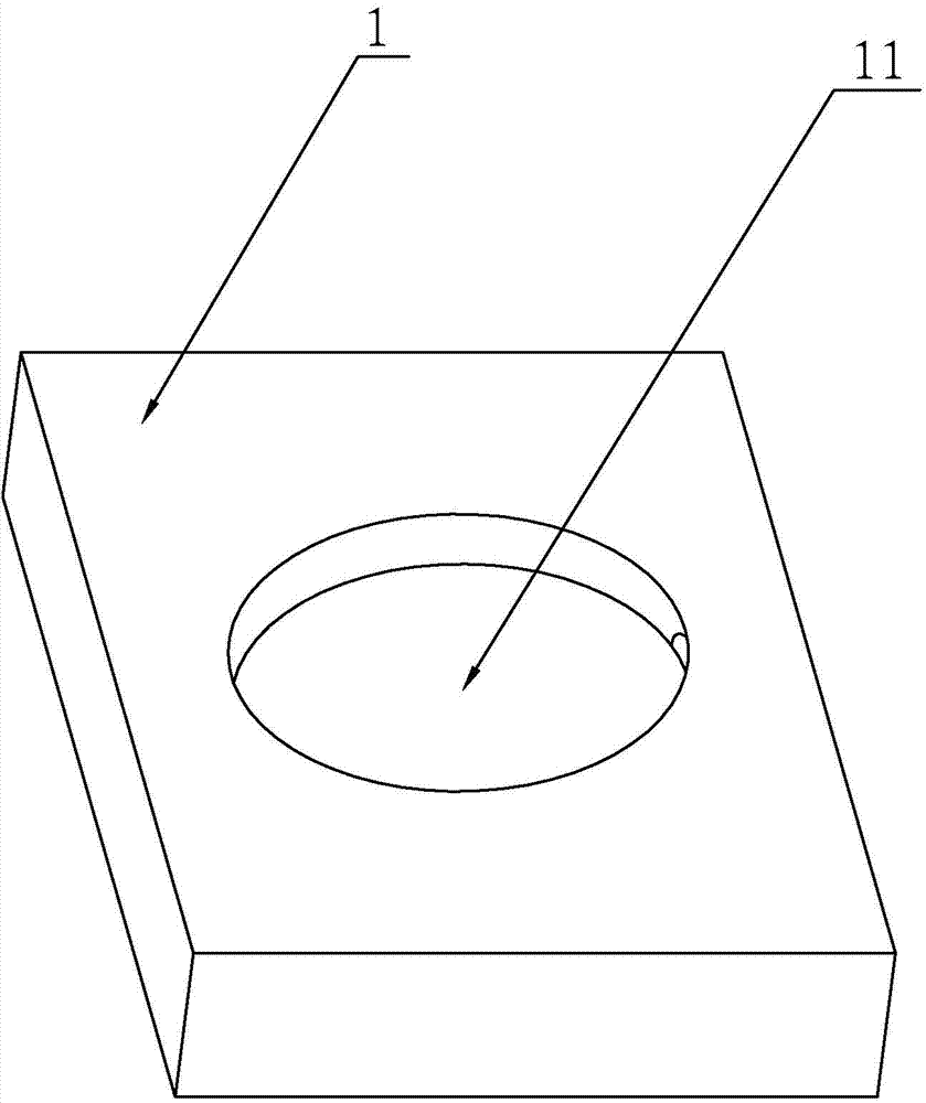 Negative-pressure fixing device for living insect