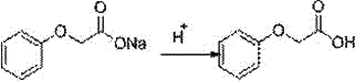 A kind of continuous synthesis method of phenoxyacetic acid