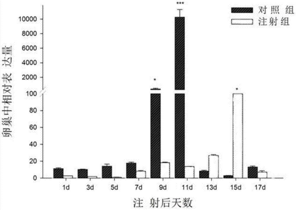 Green shrimp vitellogenin vg gene, encoded protein and its application