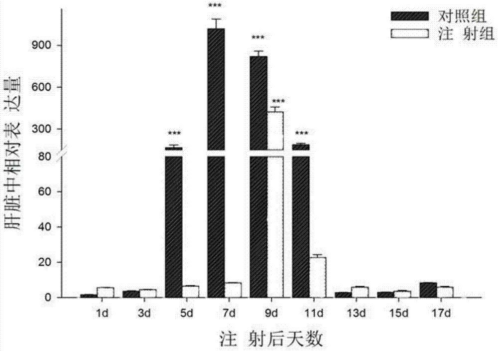 Green shrimp vitellogenin vg gene, encoded protein and its application