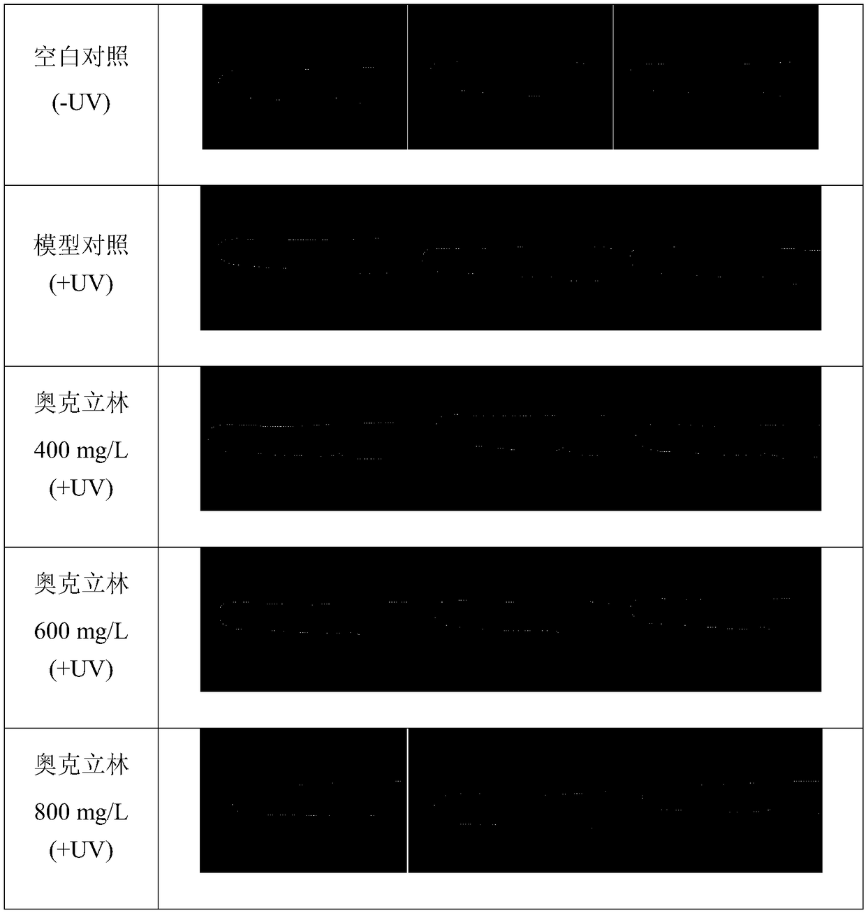 Detection method for sunscreen efficacy of sunscreen skin care products